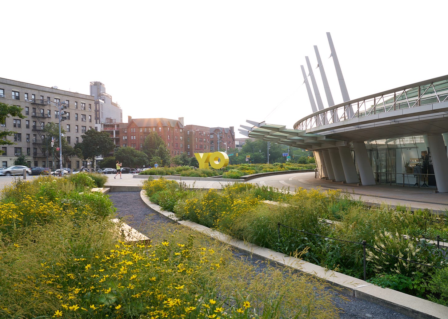 Native wildflower meadow at Brooklyn Museum Native wildflower meadow at Brooklyn Museum