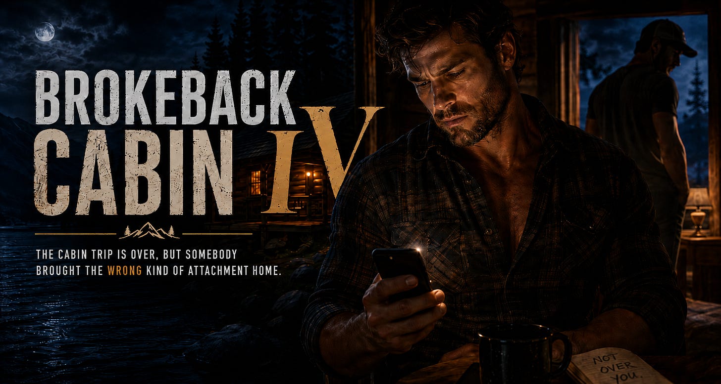 Brokeback Cabin IV promo image Brokeback Cabin IV promo image