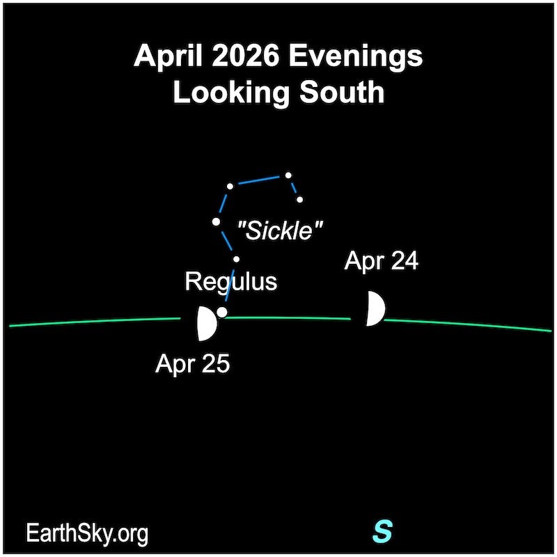 A hemisphere, the moon, is right of a dot, Regulus, then directly left of it on the next night.