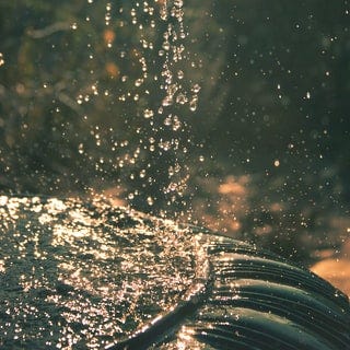 Unsplash Photo Unsplash Photo