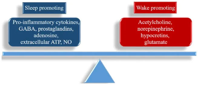 https%3A%2F%2Fsubstack post media.s3.amazonaws.com%2Fpublic%2Fimages%2F8966c2fa 45b6 4f4f a32f