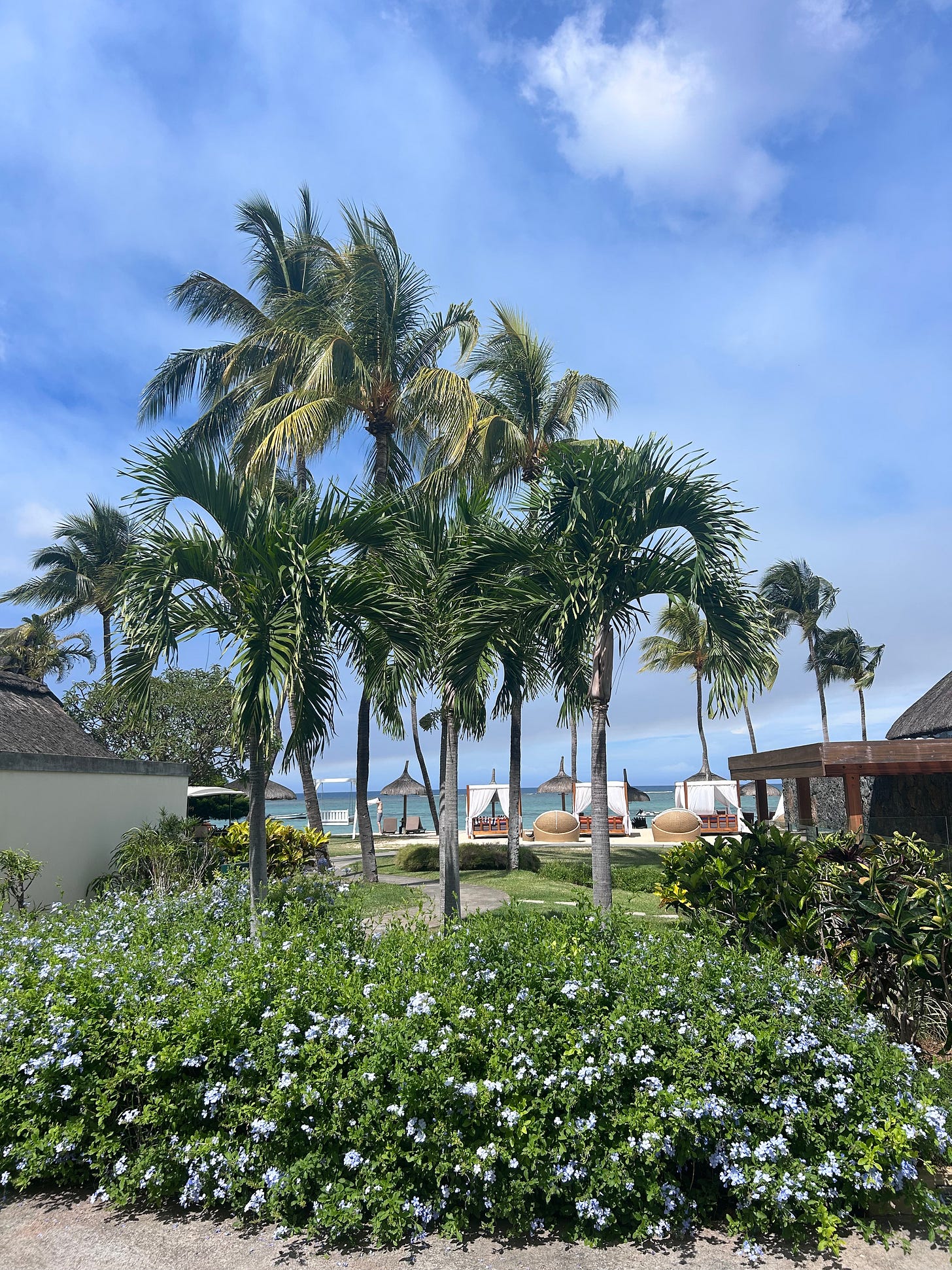 Sea view on an island resort with palm trees