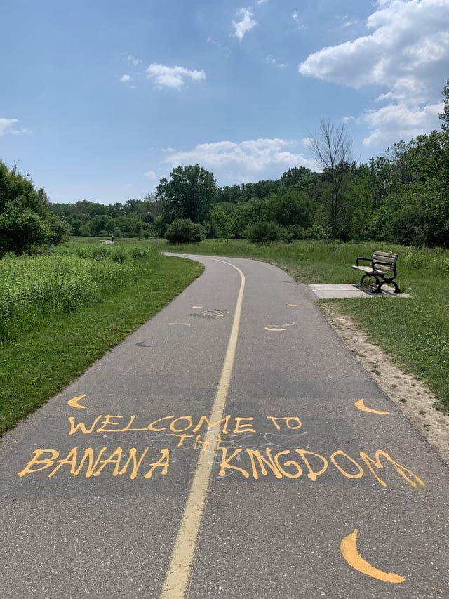 r/londonontario - The Bandit of the Banana Kingdom Strikes Again!