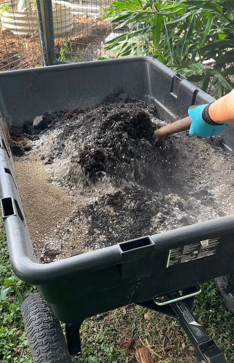 Six photos showing the progression from mixing soil to making soil blocks, planting seeds to getting sprouts.
