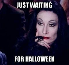 140 Gothic memes ideas in 2024 | memes, halloween memes, halloween funny