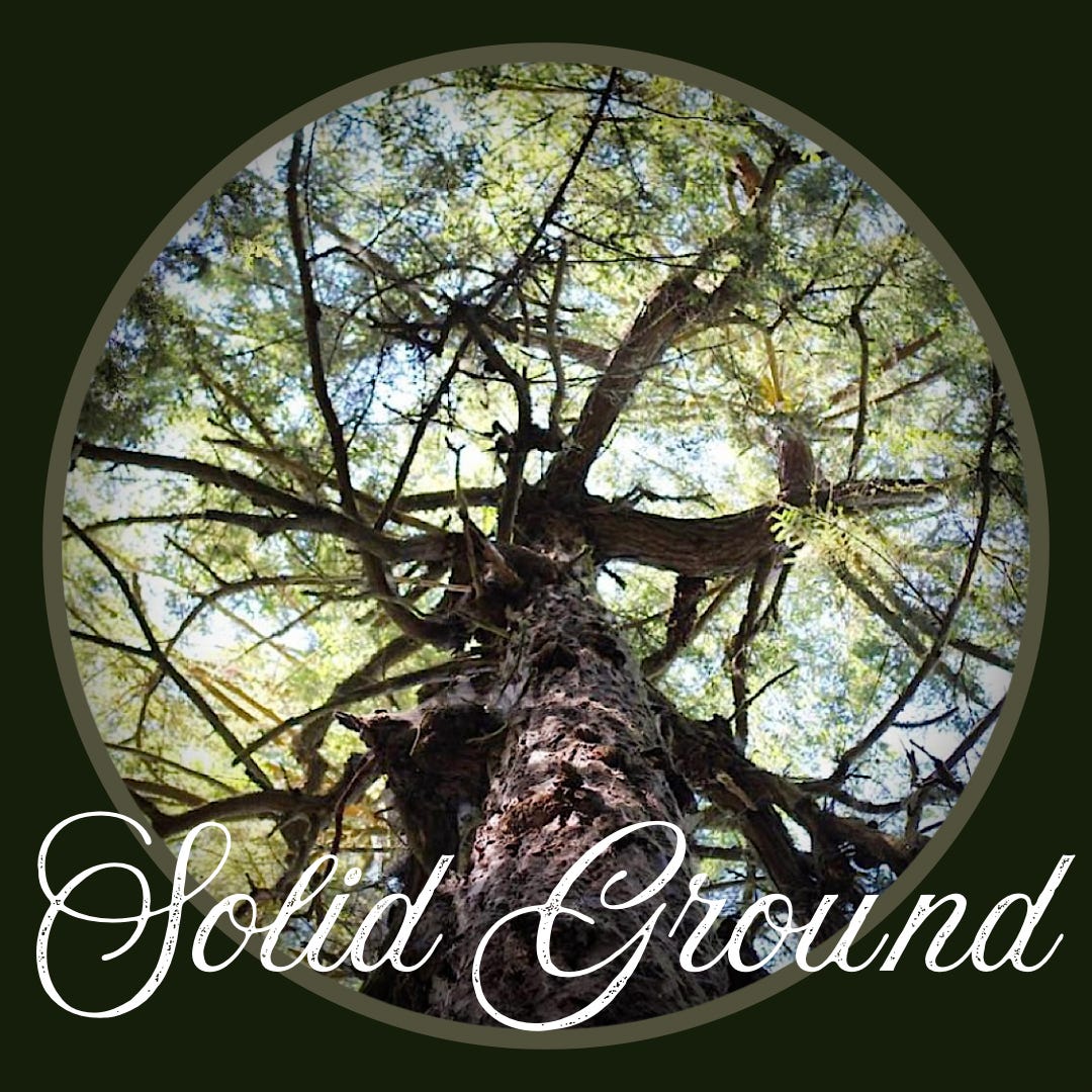 Solid Ground's Substack