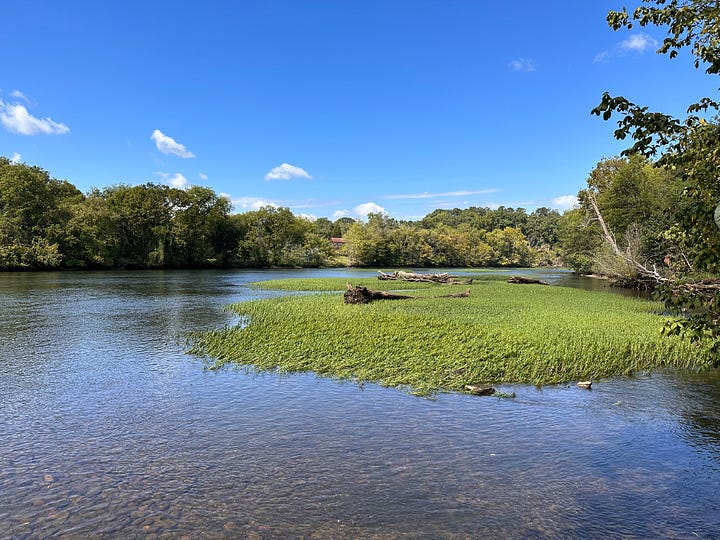 Mountains and lakes in East Tennessee.