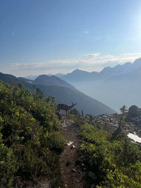 A few images from our trip to the North Cascades