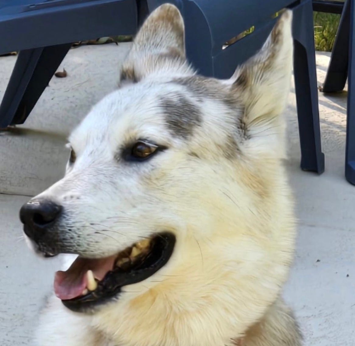 The Jesus Maximalist