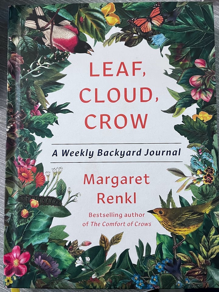 a book cover and pages inside