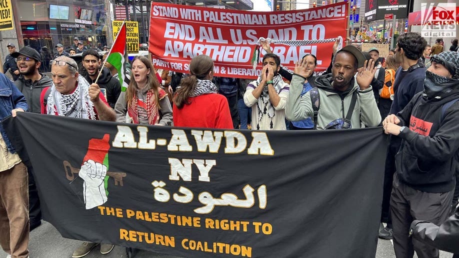 Pro-Palestinian protesters blame Israel for Hamas terror attack in  'repugnant' demonstrations | Fox News