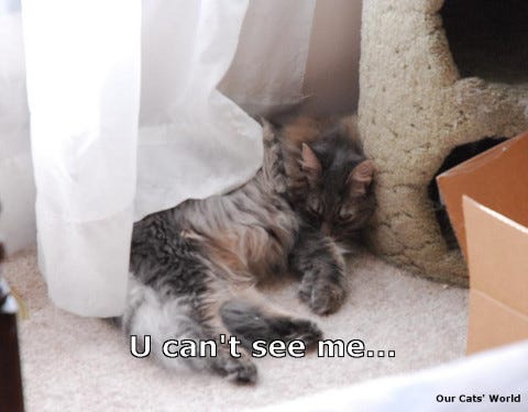 Kali_Hidden_lol Kali_Hidden_lol