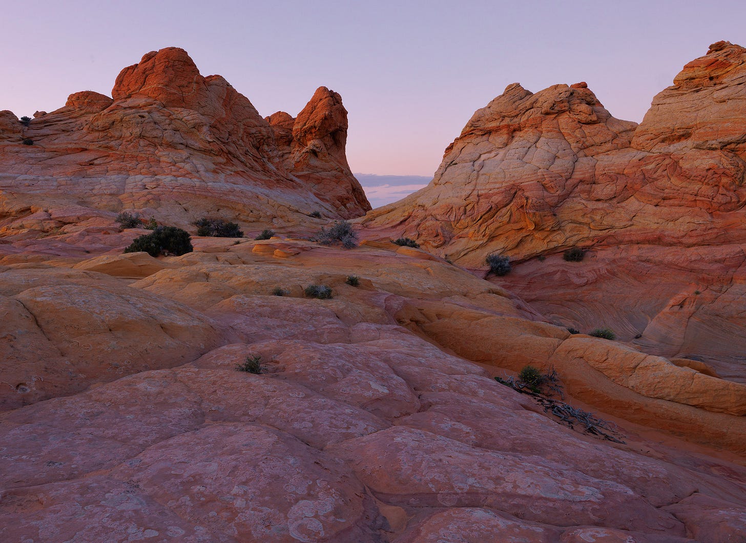 Rounded and ridged sandstone formations in South Coyote Buttes are bathed in the soft, diffuse light of twilight. The textured rock surfaces show subtle bands of red, orange, and lavender, while scattered desert shrubs cling to the stone. Rounded and ridged sandstone formations in South Coyote Buttes are bathed in the soft, diffuse light of twilight. The textured rock surfaces show subtle bands of red, orange, and lavender, while scattered desert shrubs cling to the stone.