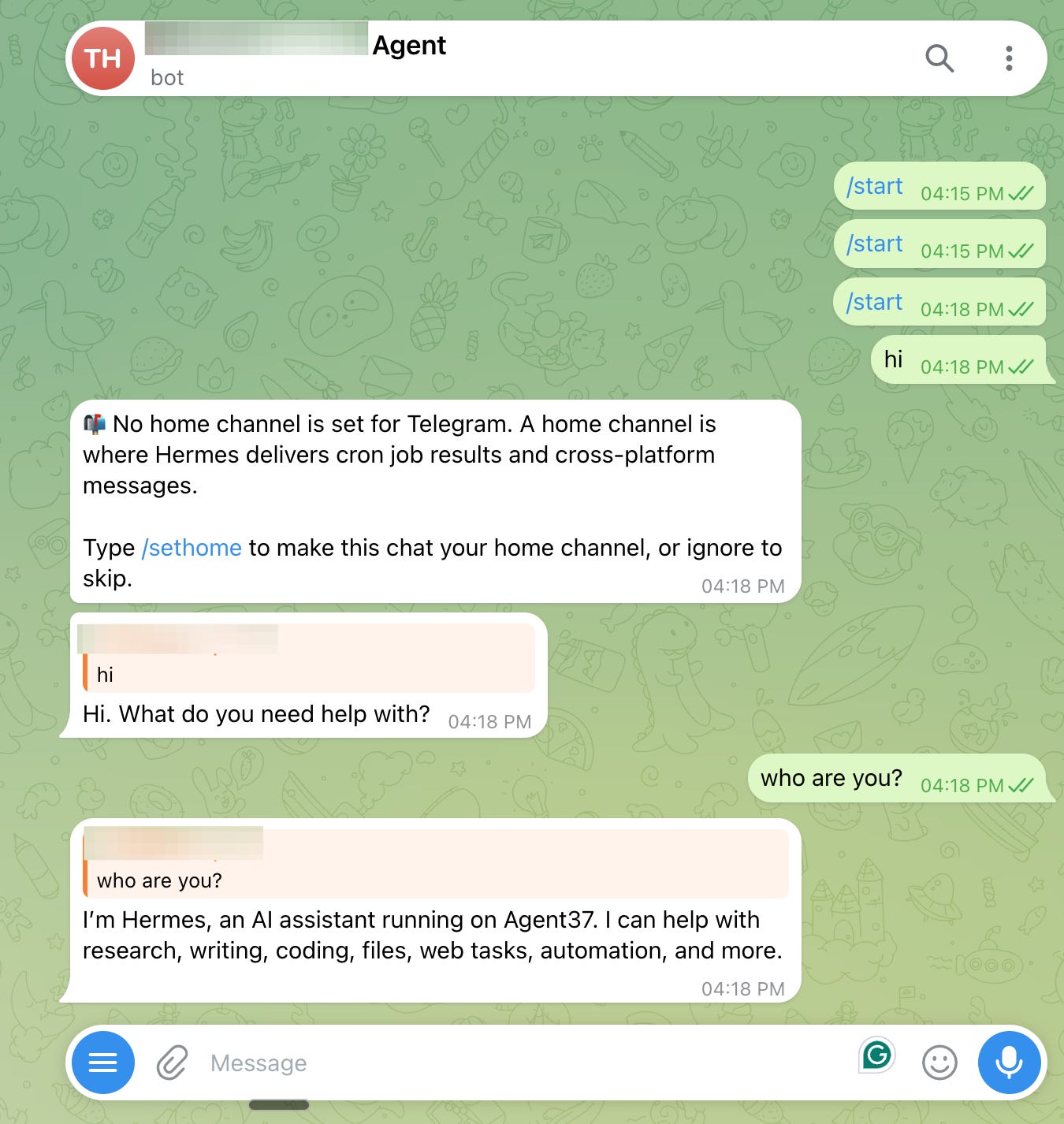 Working Telegram conversation with the Hermes Agent hosted on Agent37 Working Telegram conversation with the Hermes Agent hosted on Agent37