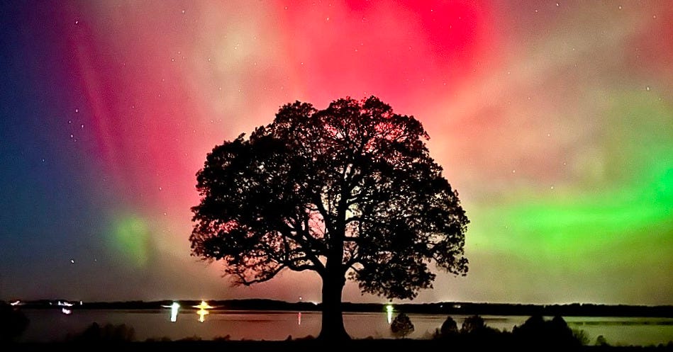 File:Aurora borealis Smithville Lake 11-11-2025 02.jpg