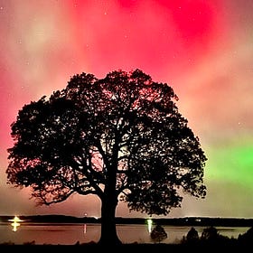 The Biggest Solar Flare of 2025