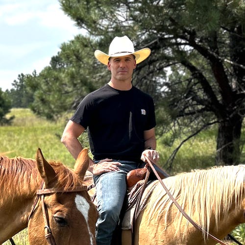 Artwork for Tavis Bohlinger