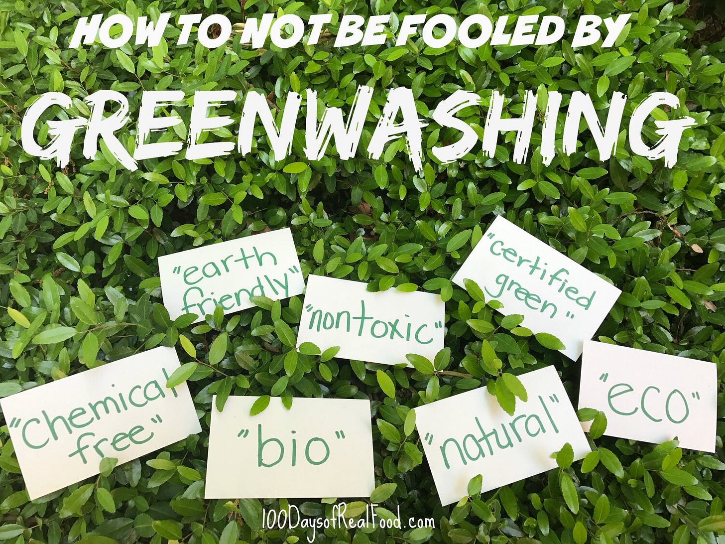 The Negative Effects of Corporate Greenwashing — Sea Going Green