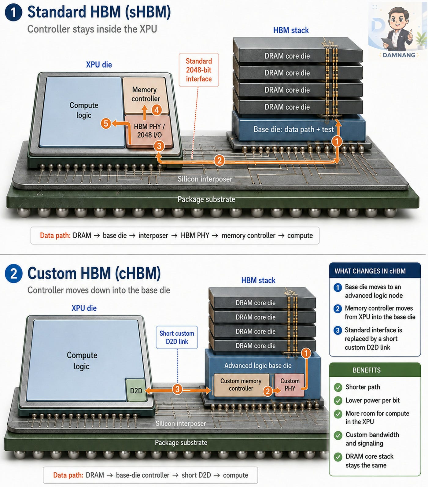 Cross-section comparison of sHBM and cHBM Cross-section comparison of sHBM and cHBM