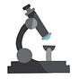 Biomemes.nl's avatar