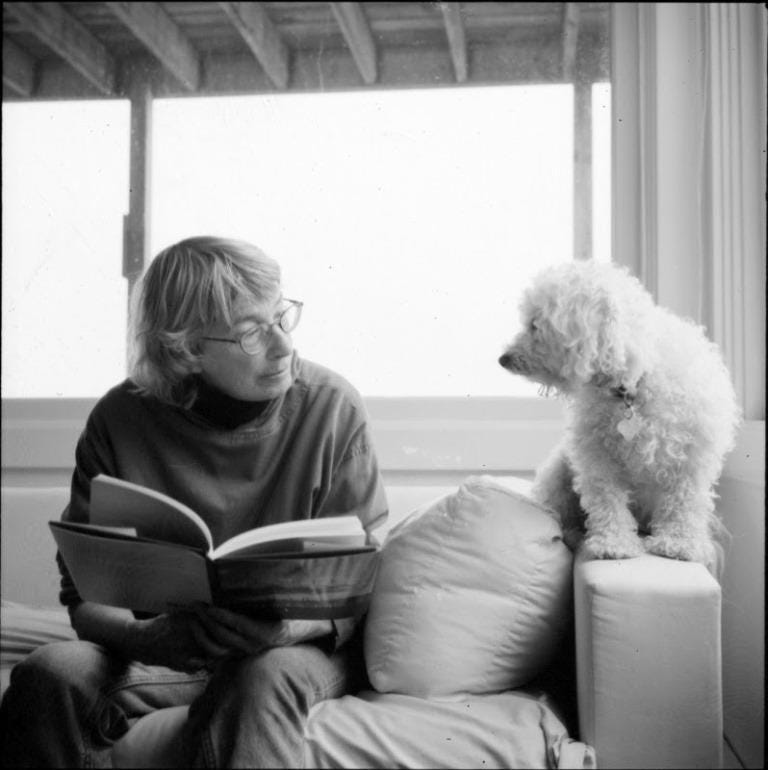 National Poetry Month: Mary Oliver - English | Colorado State University