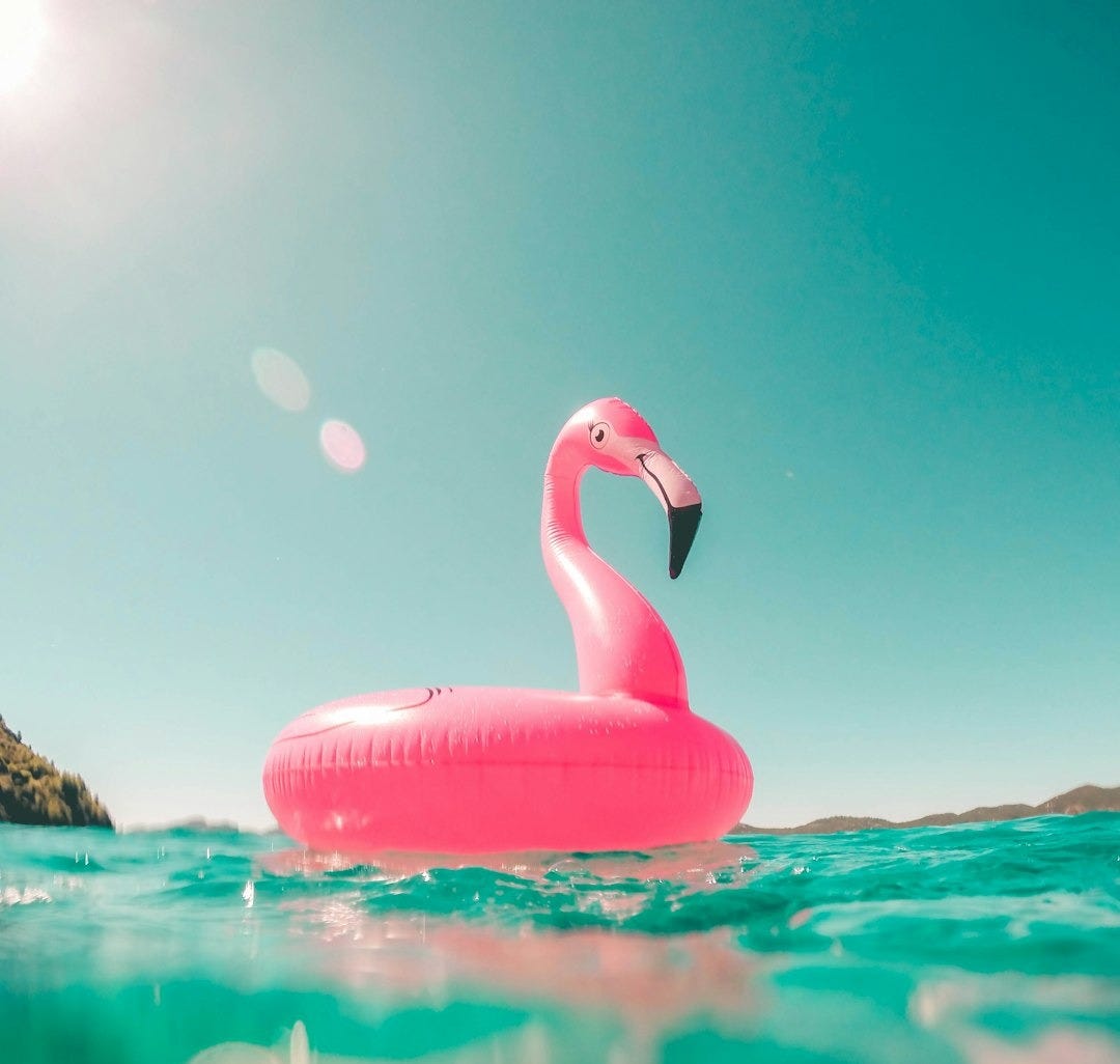 pink flamingo swim ring on body of water in summer
