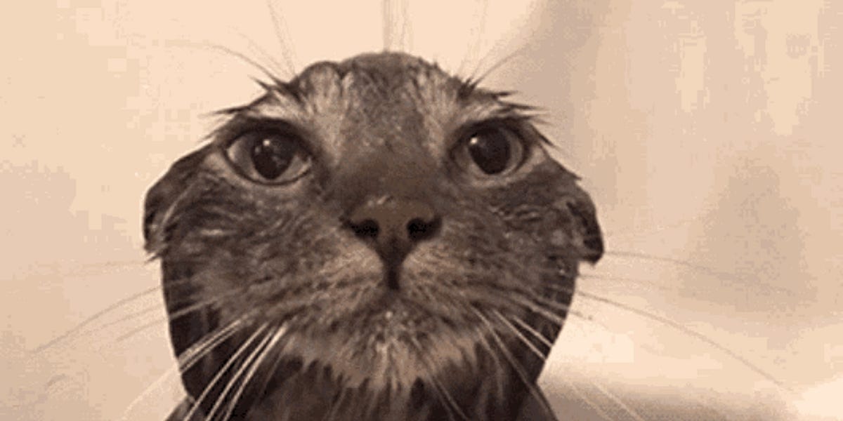 Thumbnail of how to plan a book pt. 1: refining your idea