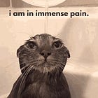 how to plan a book pt. 1: refining your idea