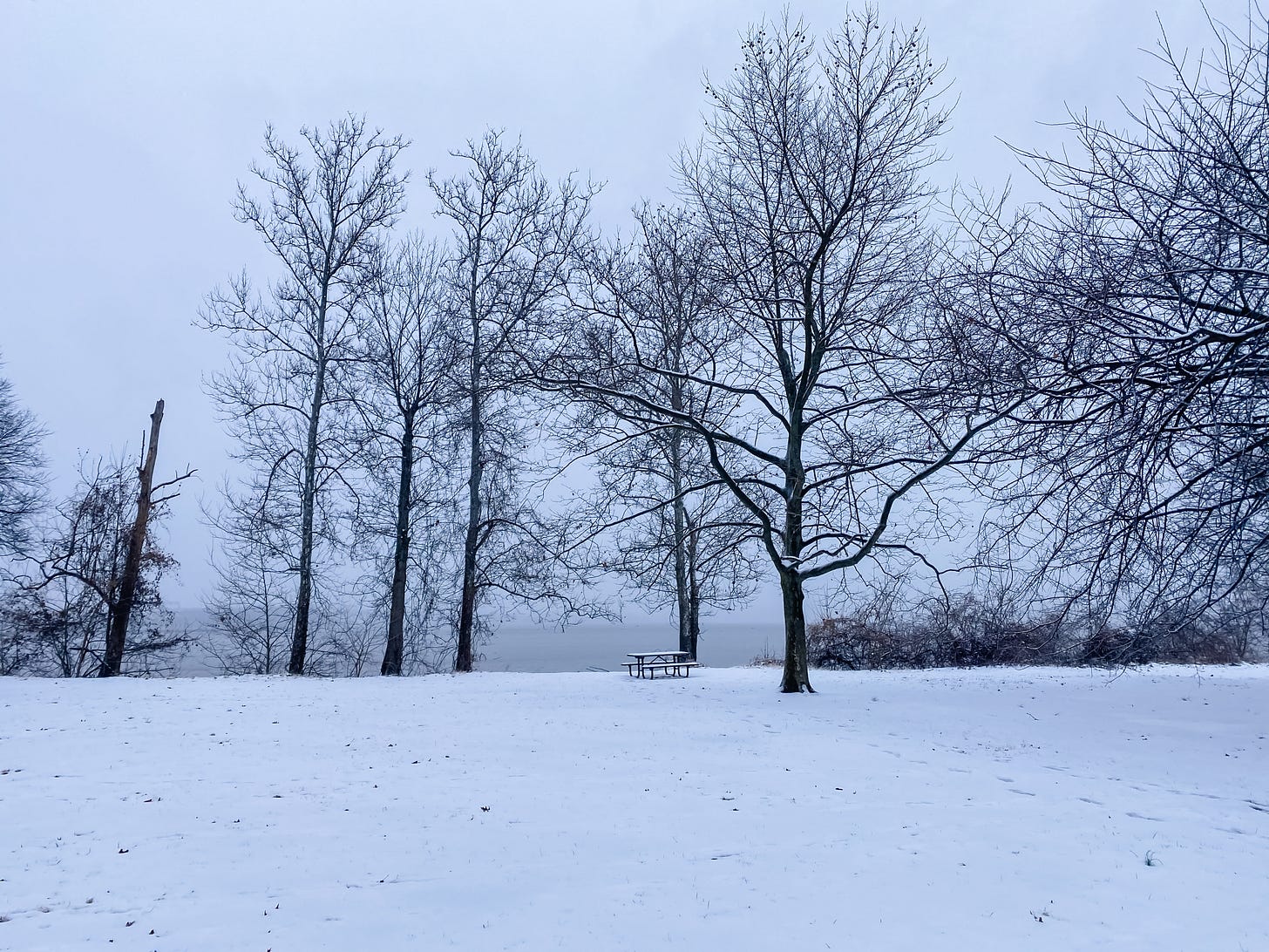 A snowy scene of a single picnic table near the edge of a river, surrounded by snow on the ground and bare trees.