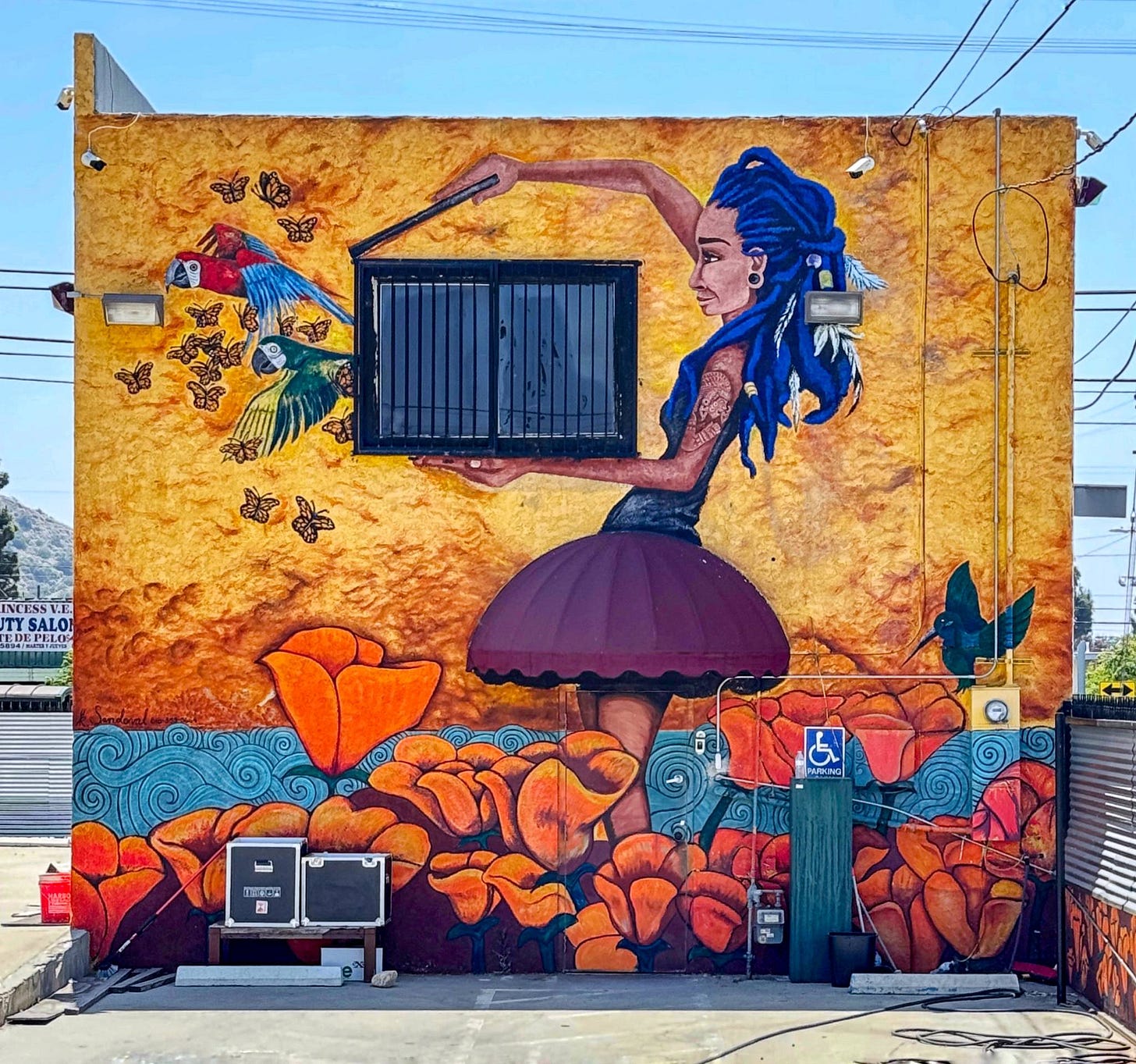 Murale che copre l’intera parete esterna di un edificio. Una persona dai lunghi rasta blu e con il tatuaggio di una dea azteca sul braccio apre una gabbia da cui volano via due pappagalli e farfalle. Ai suoi piedi una distesa di fiori arancioni su onde azzurre. La gabbia è in realtà la finestra dell’edificio. La gonna della persona è invece il parasole viola della porta d’ingresso. 