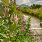 Western water: Where values, math, and the "Law of the River" collide, Part I