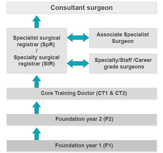 Who's Who in the Surgical Team — Royal College of Surgeons