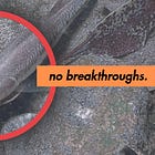Fishy Text in Research Articles: Fraud or Fault?