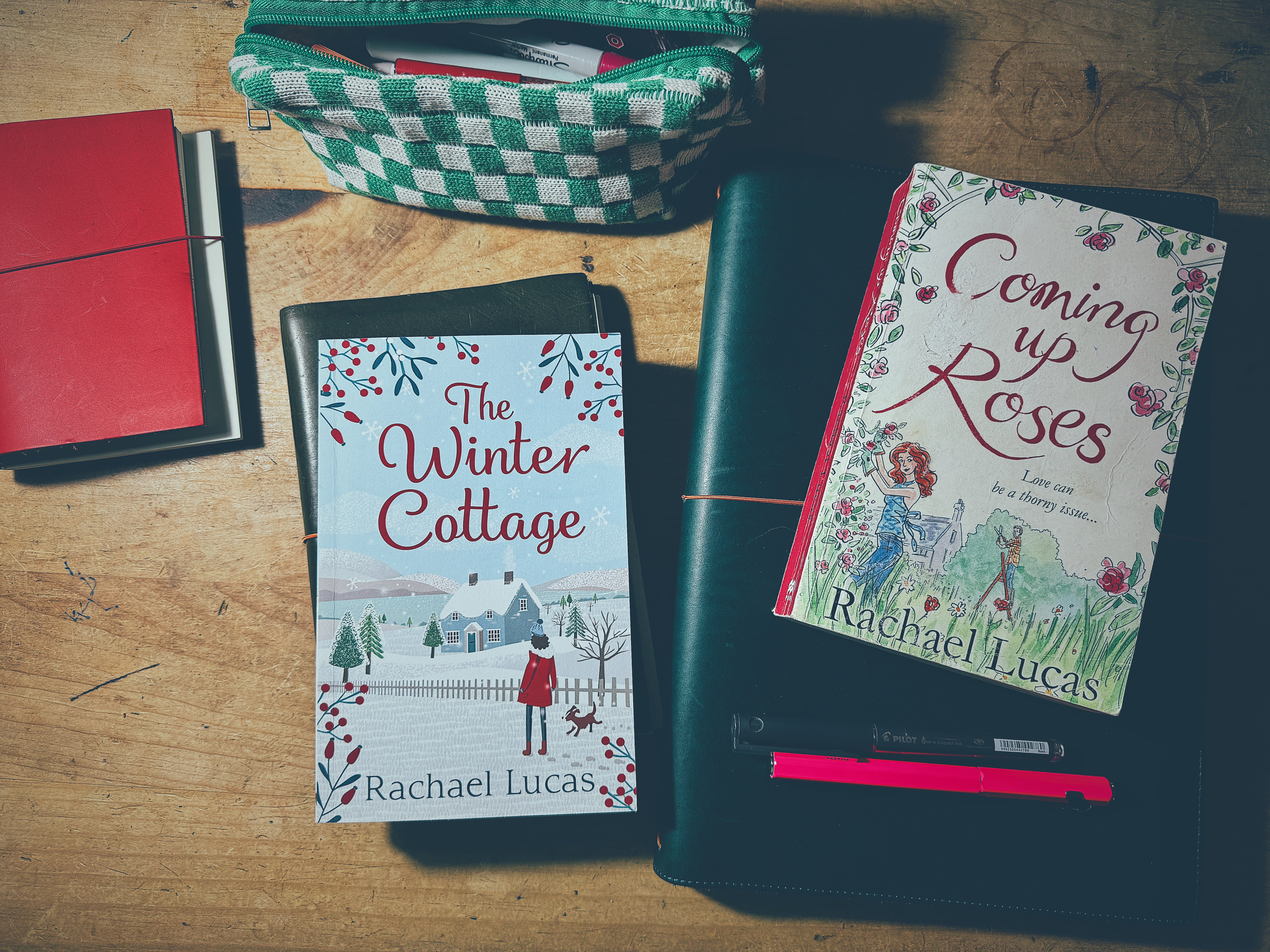 An Interview With Rachael Lucas on Procrastination, Blogging and  Self-Publishing