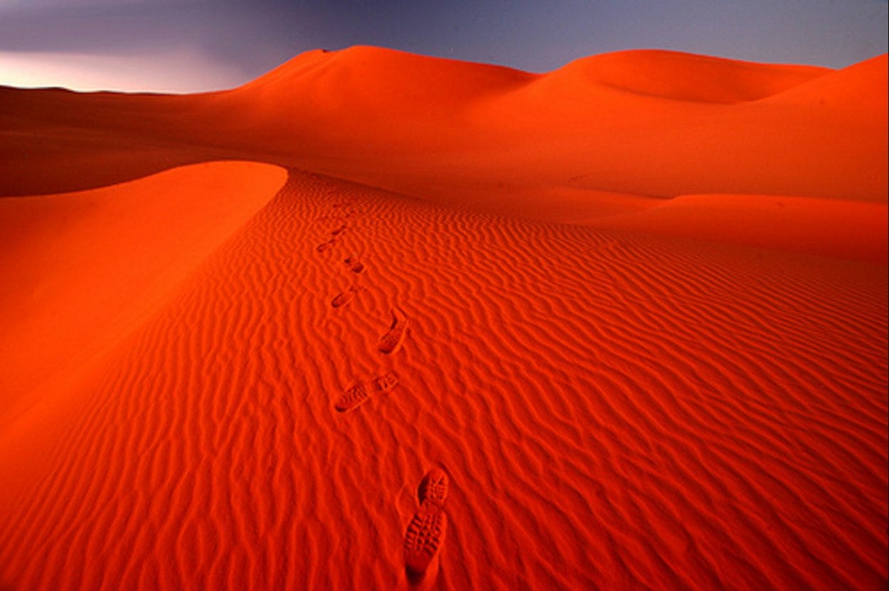 Discover Algeria 🌍 on X: "Tadrart rouge◇Algerian Sahara #Algérie #Algeria  #Alger #Algiers #Travel #nature #photography #desert #Voyage #Tourisme  #Djanet #الجزائر https://t.co/nGnnHPbMec" / X