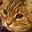 Jen's avatar