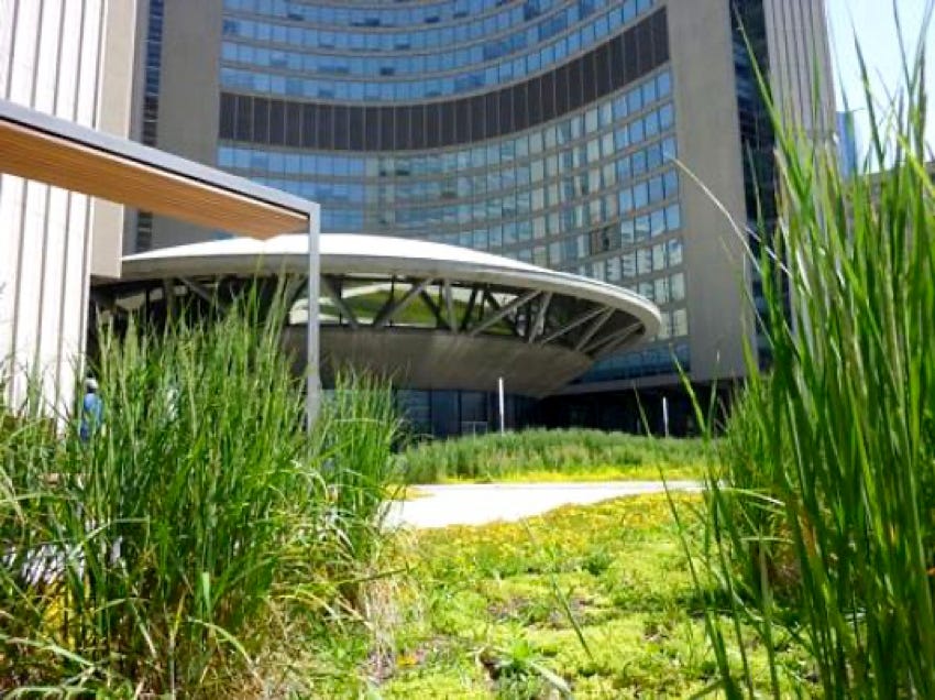 Are Green Roofs Fading Away?