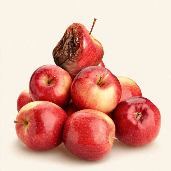 A pile of shiny red apples, with one at the top that is half rotten.