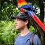 Nicholas Stavrou's avatar