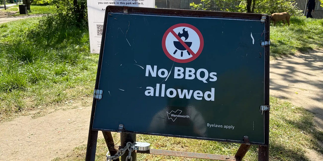 Barbecues and fires are illegal in any of Wandsworth's green spaces