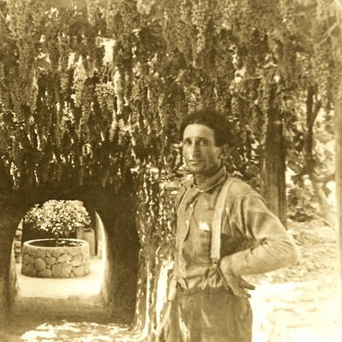 a person standing in front of a tree a person standing in front of a tree