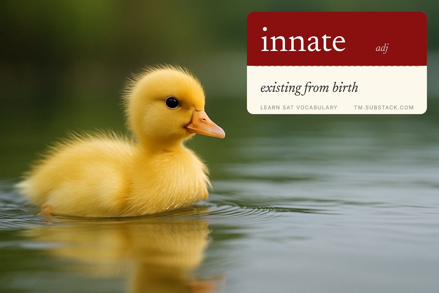innate illustration innate illustration
