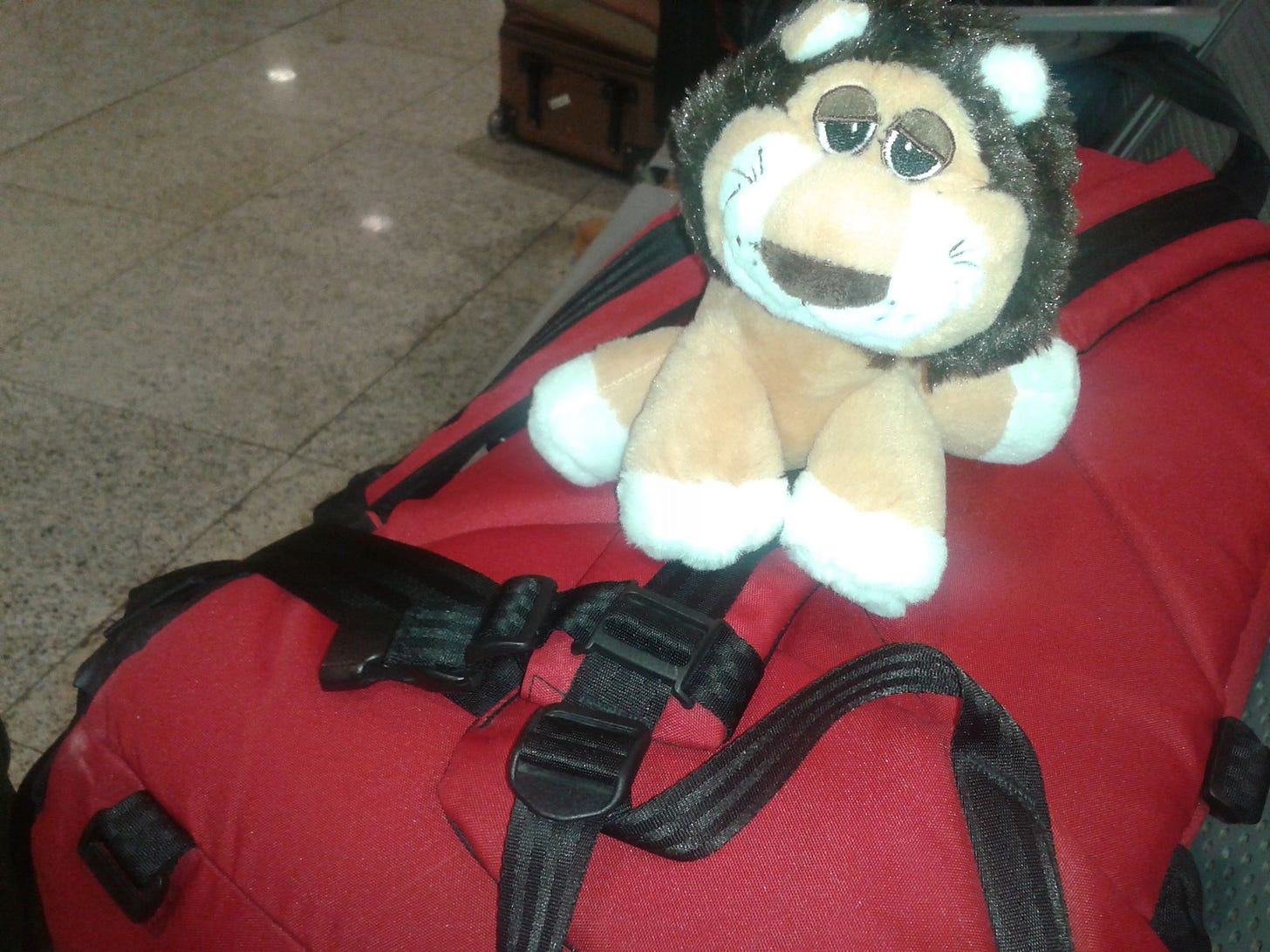 Leoncito en Barcelona