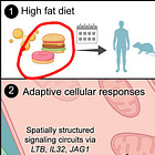 Sugar and Carbs vs. Fat: Both Sides Get It Wrong