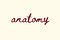 Anatomy