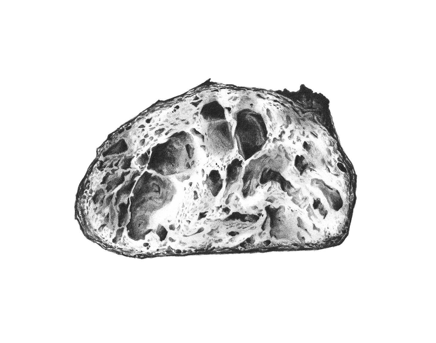 finished sourdough pencil portrait