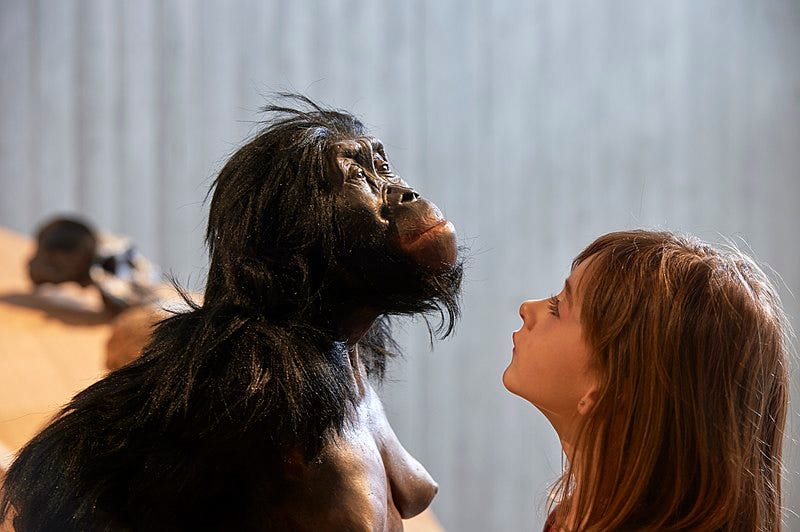 A person looking at a gorilla

Description automatically generated
