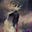 Avatar de Gdu4375 Gd54