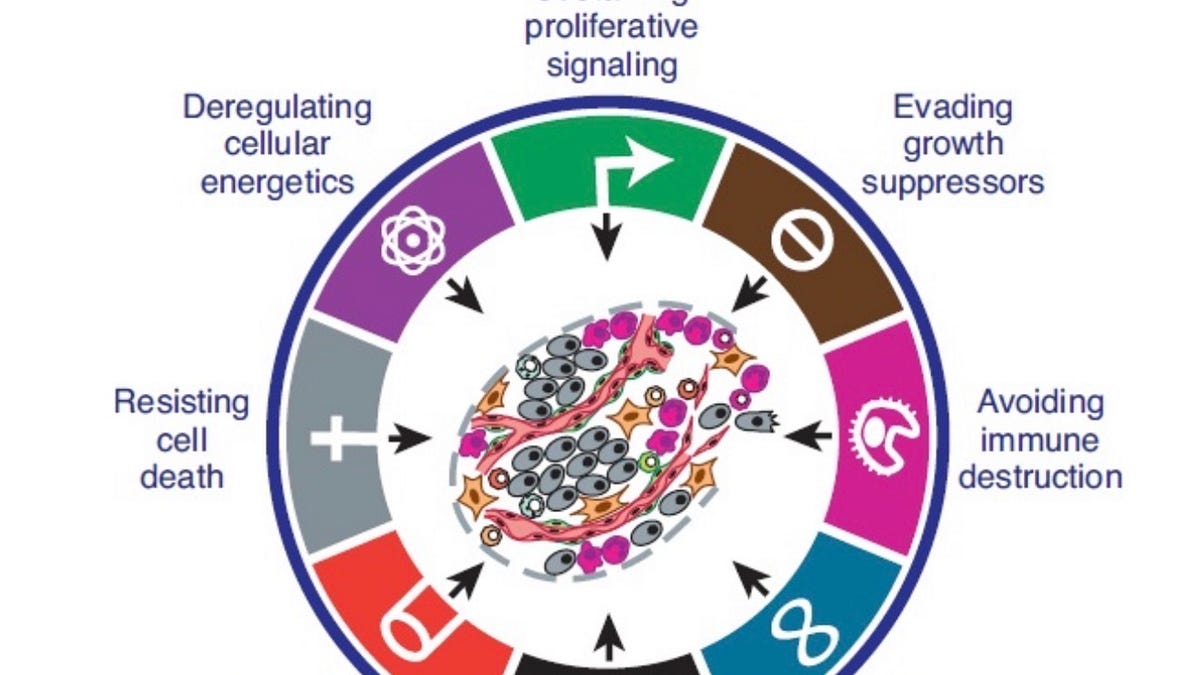 The hallmarks of cancer - by Dr. Aristotelis Stefanis