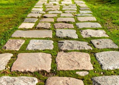 A cobblestone path with grass between the stones